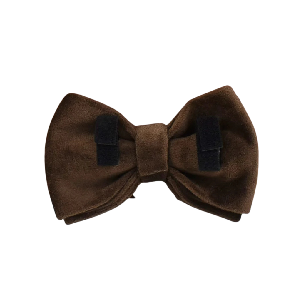 Mocha Luxe Samt-Fliege