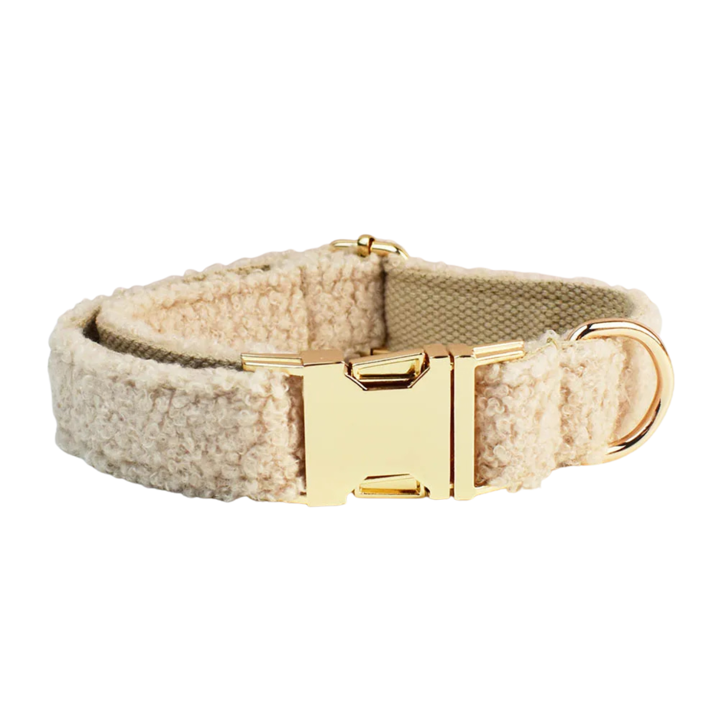Champagne Teddy Hundehalsband