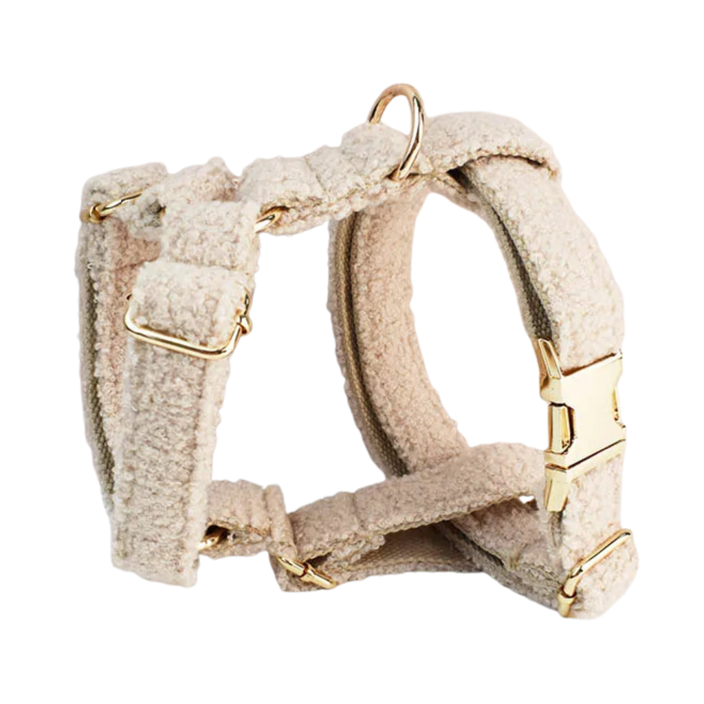 Champagne Teddy Hundegeschirr