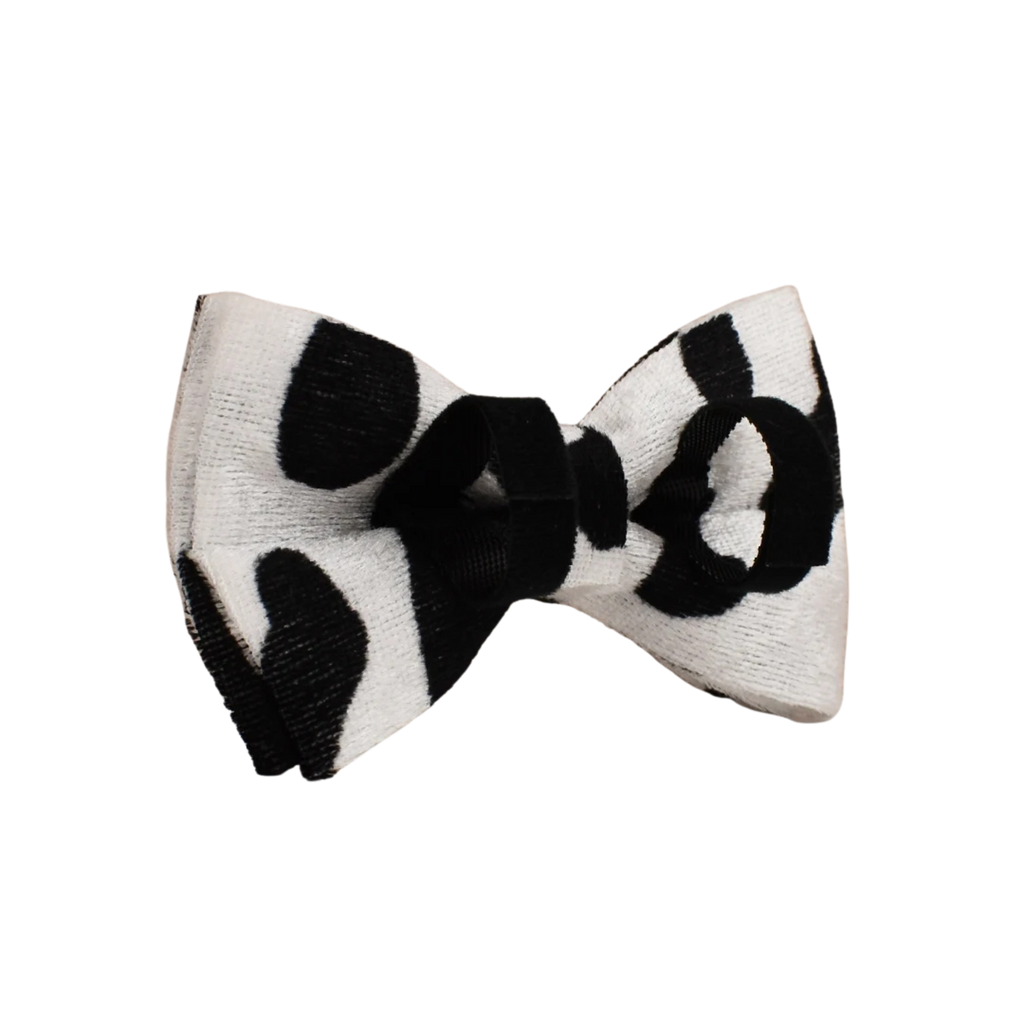 Cattle Chic Samt-Fliege