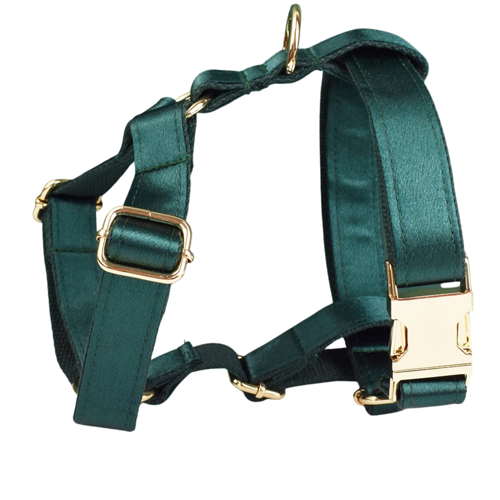 Emerald Satin Hundegeschirr