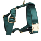 Emerald Satin Hundegeschirr
