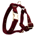 Crimson Stars Geschirr