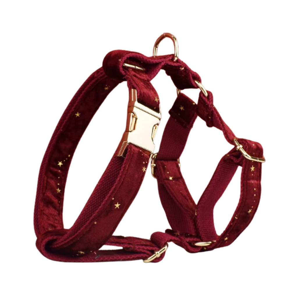 Crimson Stars Geschirr