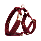 Crimson Stars Geschirr