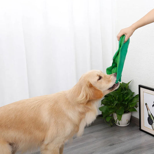 Quiekie-Erbse – die grüne Schnüffel-Schote für kluge Hunde!