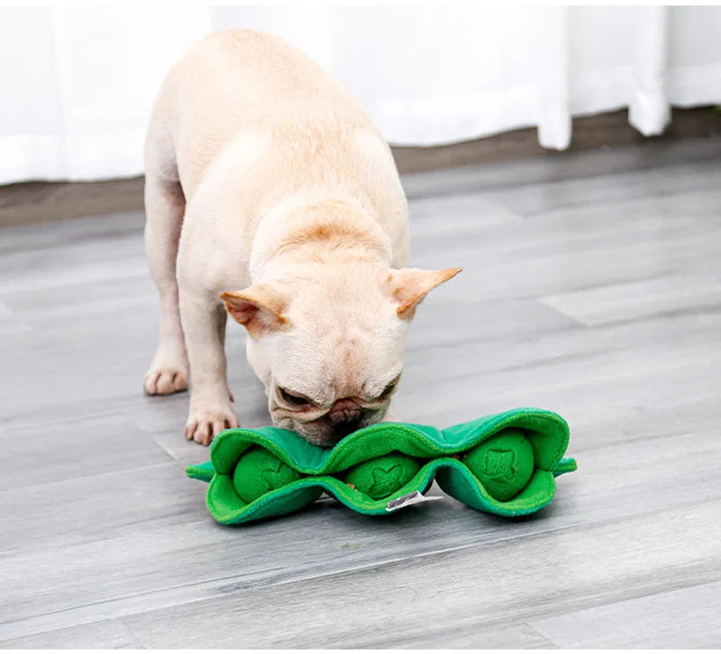 Quiekie-Erbse – die grüne Schnüffel-Schote für kluge Hunde!