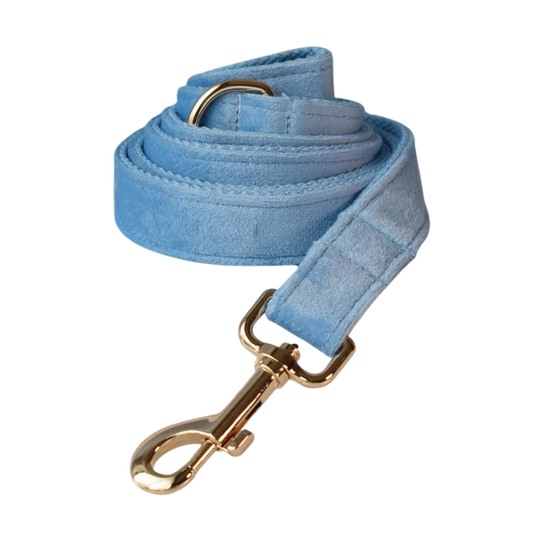 Leine in Hellblau aus Samt - Blu
