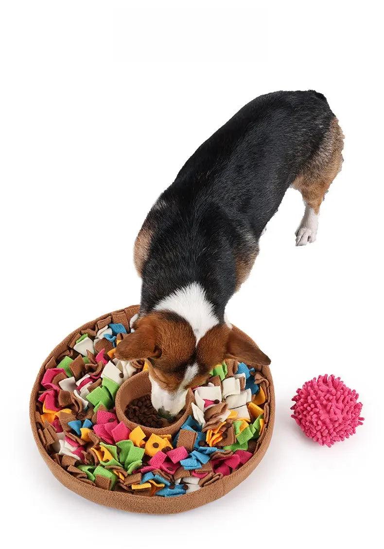 Schnüffelmatte für Hunde – Intelligenzspielzeug zur Stressreduktion und Futtersuche
