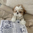 Bild in die Galerie laden, Reißfestes Hundespielzeug – Quietschende Zeitung zum Kauen 
