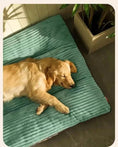 Bild in die Galerie laden, Luxuriöses Cord-Hundebett „Luvor“ – Stil & Komfort für deinen Vierbeiner 
