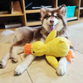 Bild in die Galerie laden, Quakspaß Ente ,,Erna'' – Robustes Hundespielzeug für Kau- und Spielspaß 
