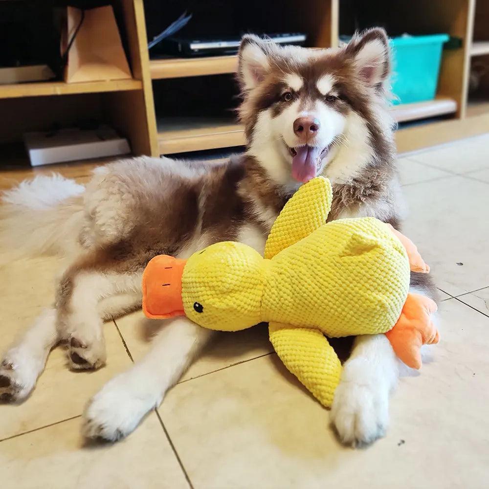 Quakspaß Ente ,,Erna'' – Robustes Hundespielzeug für Kau- und Spielspaß