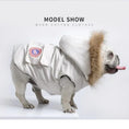 Bild in die Galerie laden, Designer Winterjacke für Hunde – Warme, stylische Hundejacke mit Kapuze für kleine, mittlere und große Hunde 
