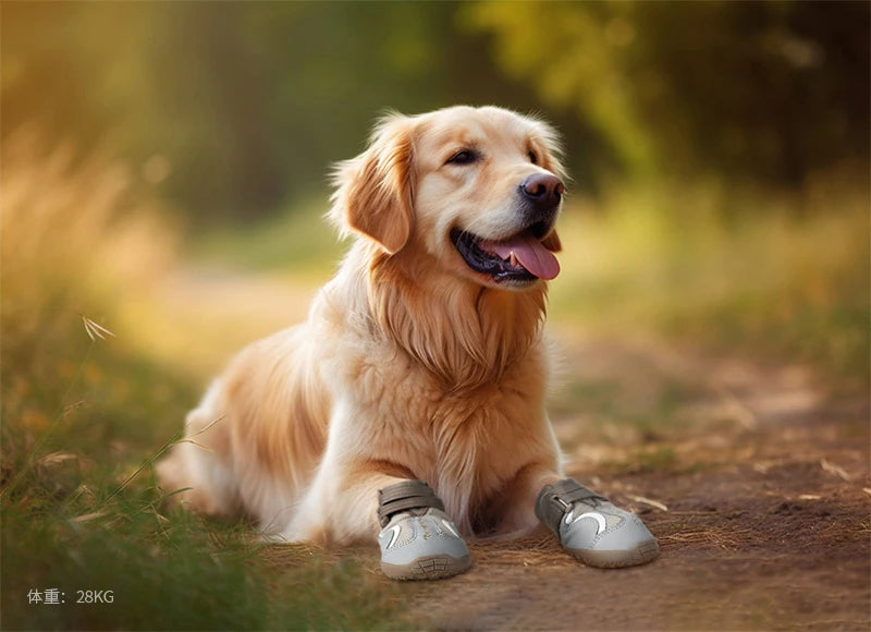 Paw Protect Performance Hundeschuhe – Rundum-Schutz für empfindliche Pfoten