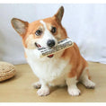 Bild in die Galerie laden, Reißfestes Hundespielzeug – Quietschende Zeitung zum Kauen 
