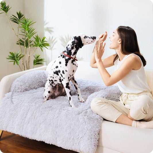 Flauschiges Hundebett – Wohlfühloase oder Sofapolster für deinen Hund