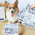 Bild in die Galerie laden, Reißfestes Hundespielzeug – Quietschende Zeitung zum Kauen 
