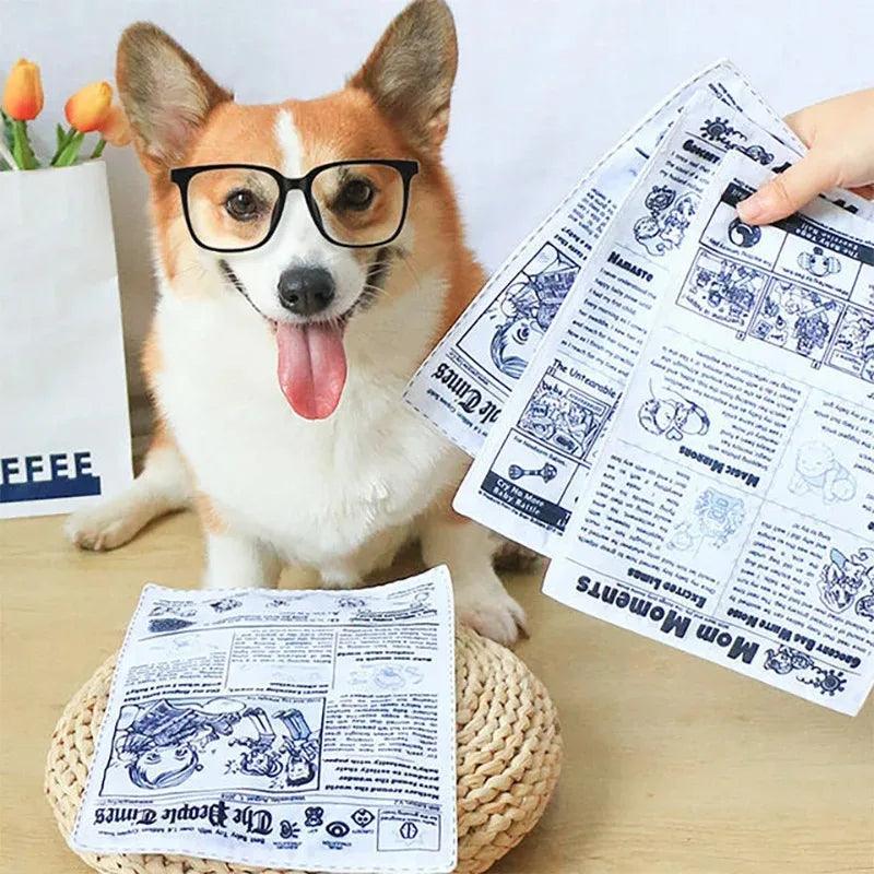 Reißfestes Hundespielzeug – Quietschende Zeitung zum Kauen