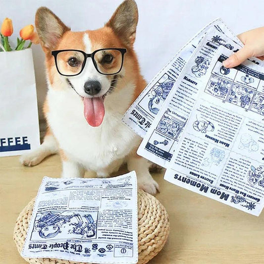 Reißfestes Hundespielzeug – Quietschende Zeitung zum Kauen