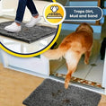 Bild in die Galerie laden, Schmutz ade! – Die super saugfähige Hundematte für saubere Pfoten und Böden 
