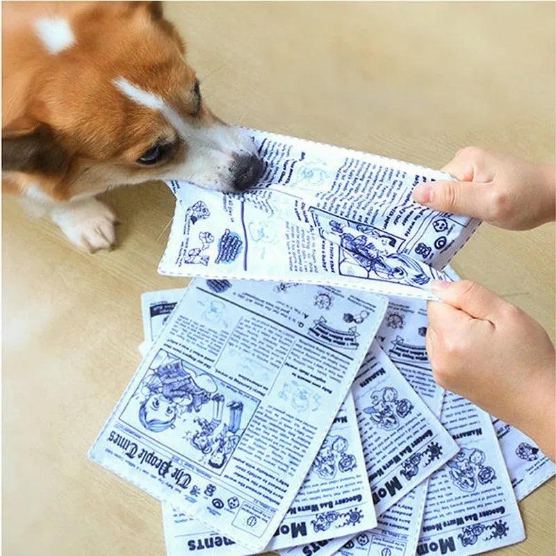 Reißfestes Hundespielzeug – Quietschende Zeitung zum Kauen
