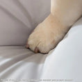 Bild in die Galerie laden, Deluxe Hundebett „Comfort Plus“ – Wasserfest & Atmungsaktiv 
