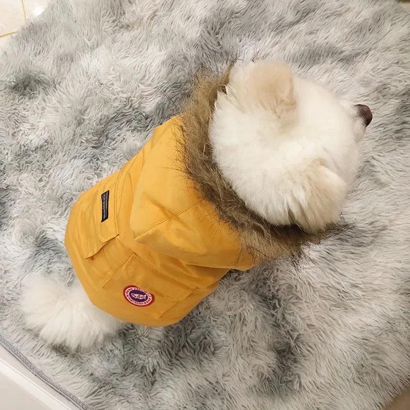 Designer Winterjacke für Hunde – Warme, stylische Hundejacke mit Kapuze für kleine, mittlere und große Hunde