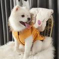 Bild in die Galerie laden, Designer Winterjacke für Hunde – Warme, stylische Hundejacke mit Kapuze für kleine, mittlere und große Hunde 
