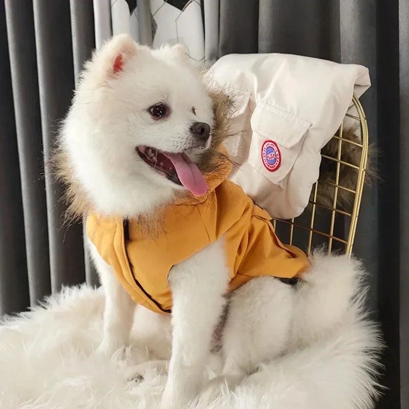 Designer Winterjacke für Hunde – Warme, stylische Hundejacke mit Kapuze für kleine, mittlere und große Hunde