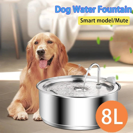 8L Edelstahl-Trinkbrunnen für Hunde – Automatischer Wasserspender