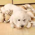 Bild in die Galerie laden, Robustes Hundespielzeug aus Baumwollseil – Beiß- und Zerrspielzeug mit Quietschfunktion 
