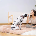 Bild in die Galerie laden, Flauschiges Hundebett – Wohlfühloase oder Sofapolster für deinen Hund 
