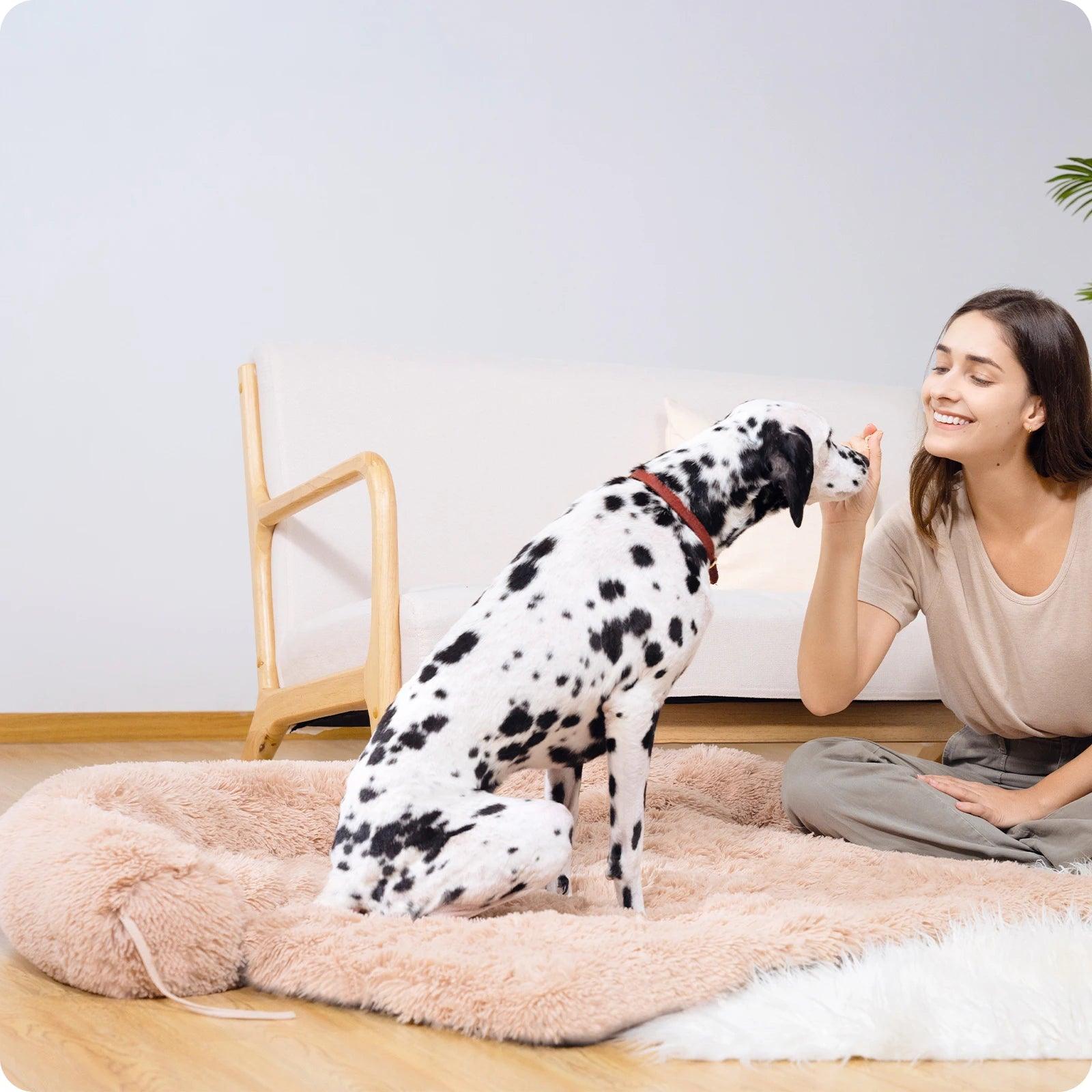 Flauschiges Hundebett – Wohlfühloase oder Sofapolster für deinen Hund