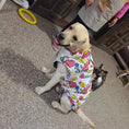Bild in die Galerie laden, Wasserdichte Hunde-Winterjacke – Stylischer Regen- und Kälteschutz für kleine bis große Hunde 
