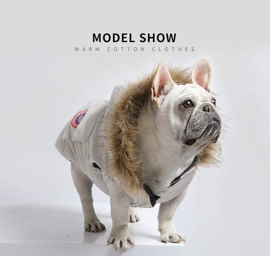 Designer Winterjacke für Hunde – Warme, stylische Hundejacke mit Kapuze für kleine, mittlere und große Hunde
