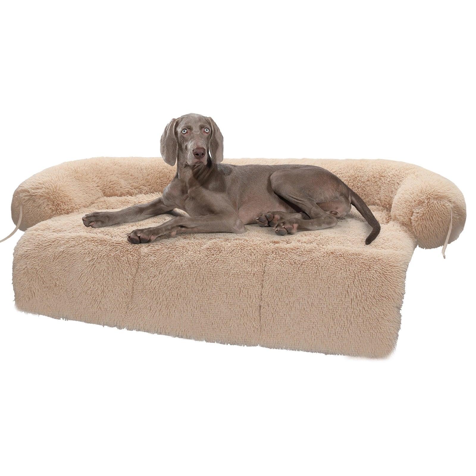 Flauschiges Hundebett – Wohlfühloase oder Sofapolster für deinen Hund