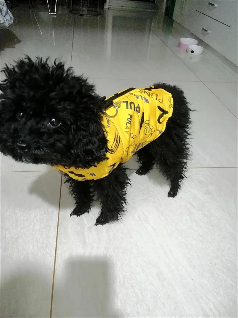 Wasserdichte Hunde-Winterjacke – Stylischer Regen- und Kälteschutz für kleine bis große Hunde