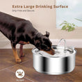 Bild in die Galerie laden, 8L Edelstahl-Trinkbrunnen für Hunde – Automatischer Wasserspender 

