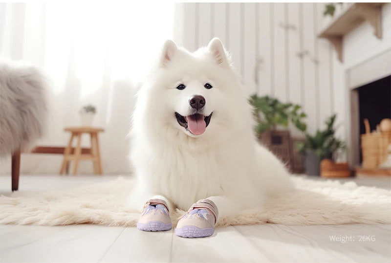 Paw Protect Performance Hundeschuhe – Rundum-Schutz für empfindliche Pfoten