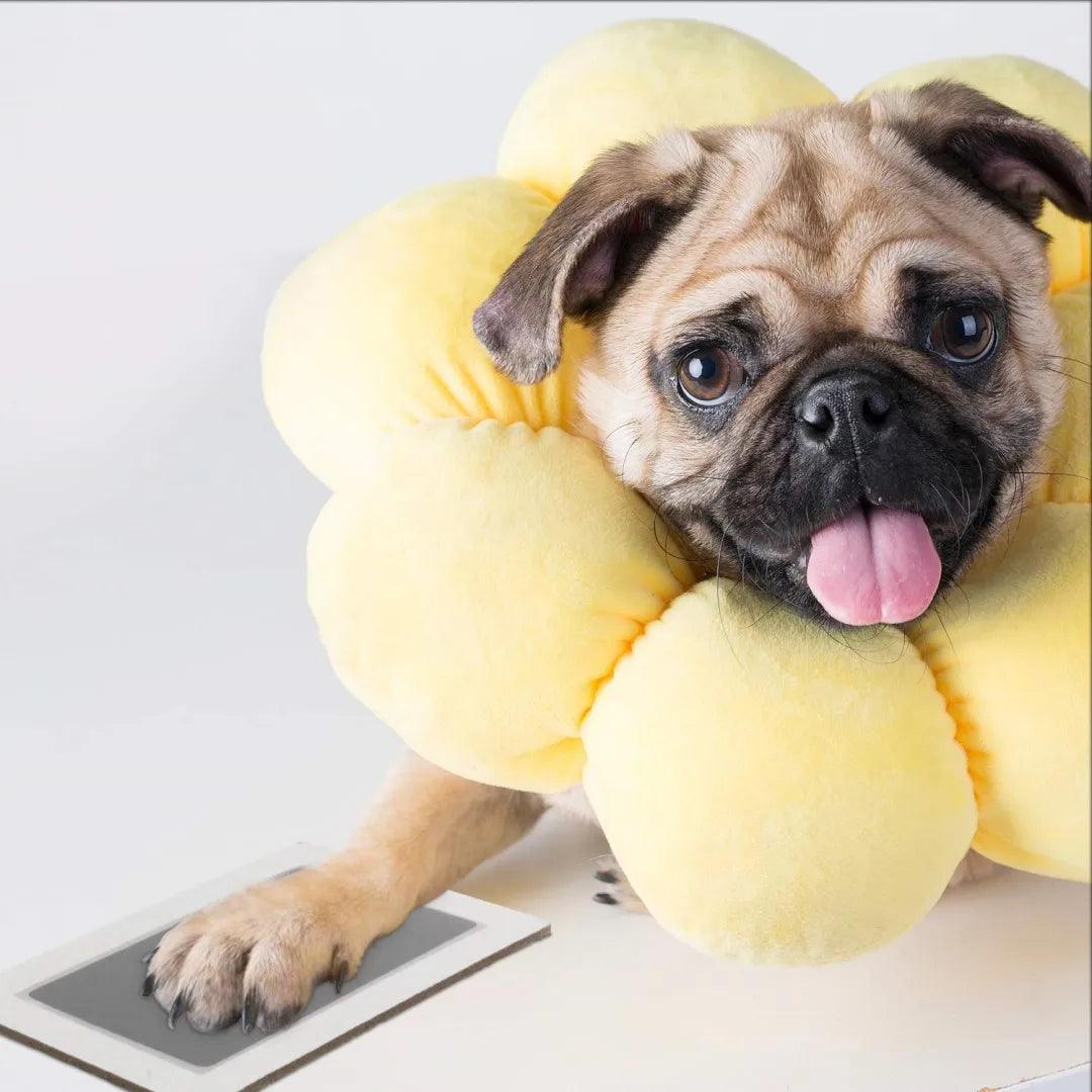 Pfotenabdruck-Erinnerungsset für Hunde – DIY Tintenpad für unvergessliche Pfotenabdrücke