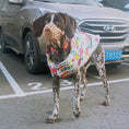 Bild in die Galerie laden, Wasserdichte Hunde-Winterjacke – Stylischer Regen- und Kälteschutz für kleine bis große Hunde 
