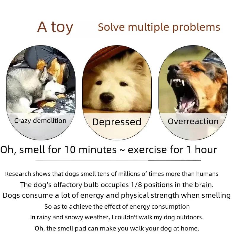 Schnüffelmatte für Hunde – Intelligenzspielzeug zur Stressreduktion und Futtersuche