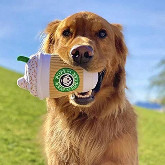 Hundespielzeug „Star Pups Coffee“ – Weiches Plüschspielzeug mit Quietschfunktion
