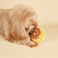 Bild in die Galerie laden, Cinnamon Roll – das süße Plüschspielzeug zum Quietschen & Kuscheln! 
