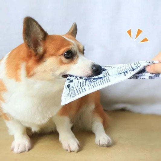 Reißfestes Hundespielzeug – Quietschende Zeitung zum Kauen