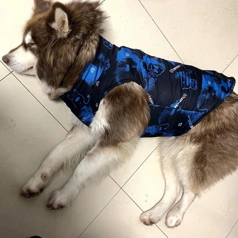 Wasserdichte Hunde-Winterjacke – Stylischer Regen- und Kälteschutz für kleine bis große Hunde