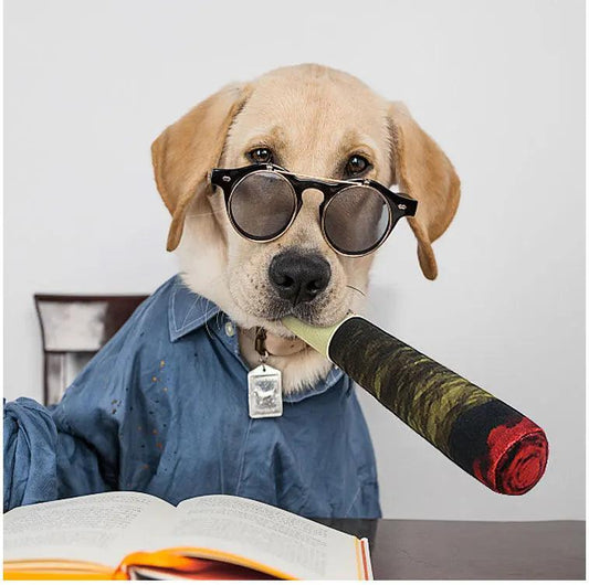 Snoop Doggy – Das interaktive Quietschspielzeug im Joint/Zigarren-Design für coole Hunde