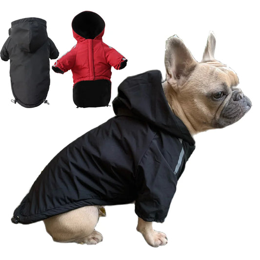 Winter-Hundejacke „Pupreme“ – Wasserdichte & warme Kapuzenjacke für kleine Hunde