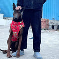 Bild in die Galerie laden, Wasserdichte Hunde-Winterjacke – Stylischer Regen- und Kälteschutz für kleine bis große Hunde 
